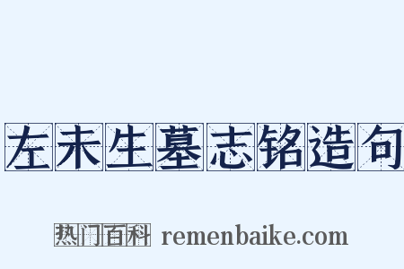 左未生墓志铭造句是什么意思的图片